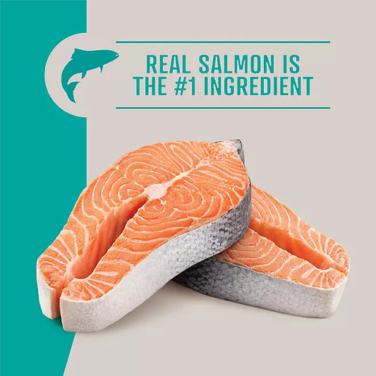 Member's Mark Grain-Free Salmon & Sweet Potato Dog Food