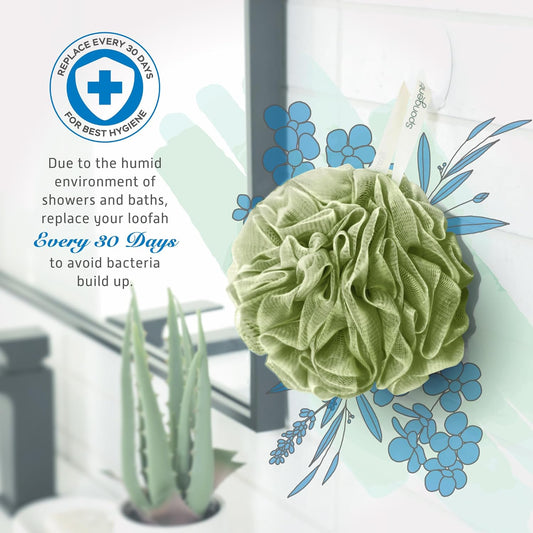 Spongentle Premium Deep Cleansing Loofah Sponge - Exfoliating Bath & Shower Body Scrubber, Pack of 4, Soft & Durable with Hanging Rope | Gentle Exfoliation for Radiant Skin, Beautiful Colors for Women & Men - Ballimart