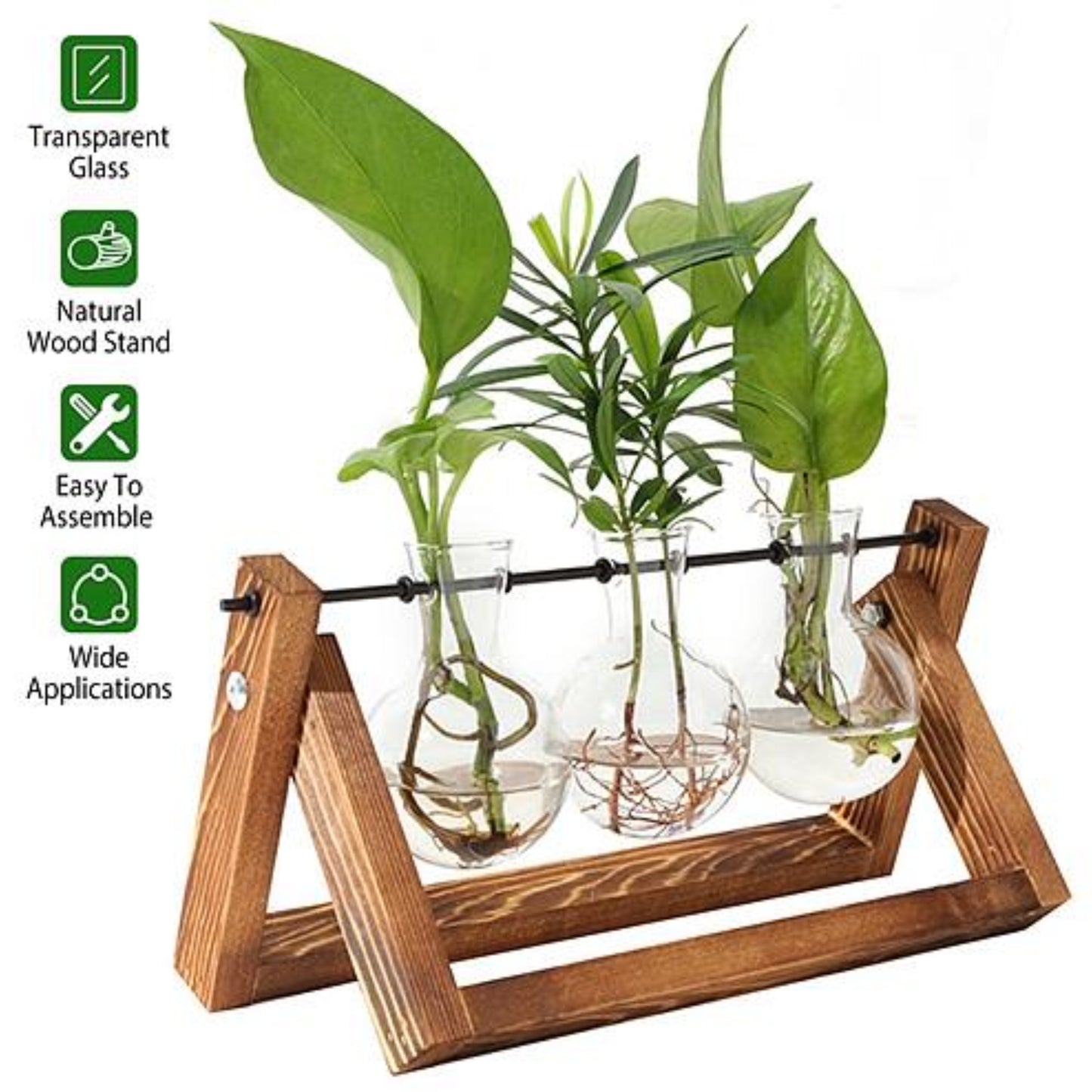 Desktop Glass Planter Bulb Plant Terrarium with Wooden Stand - Ballimart