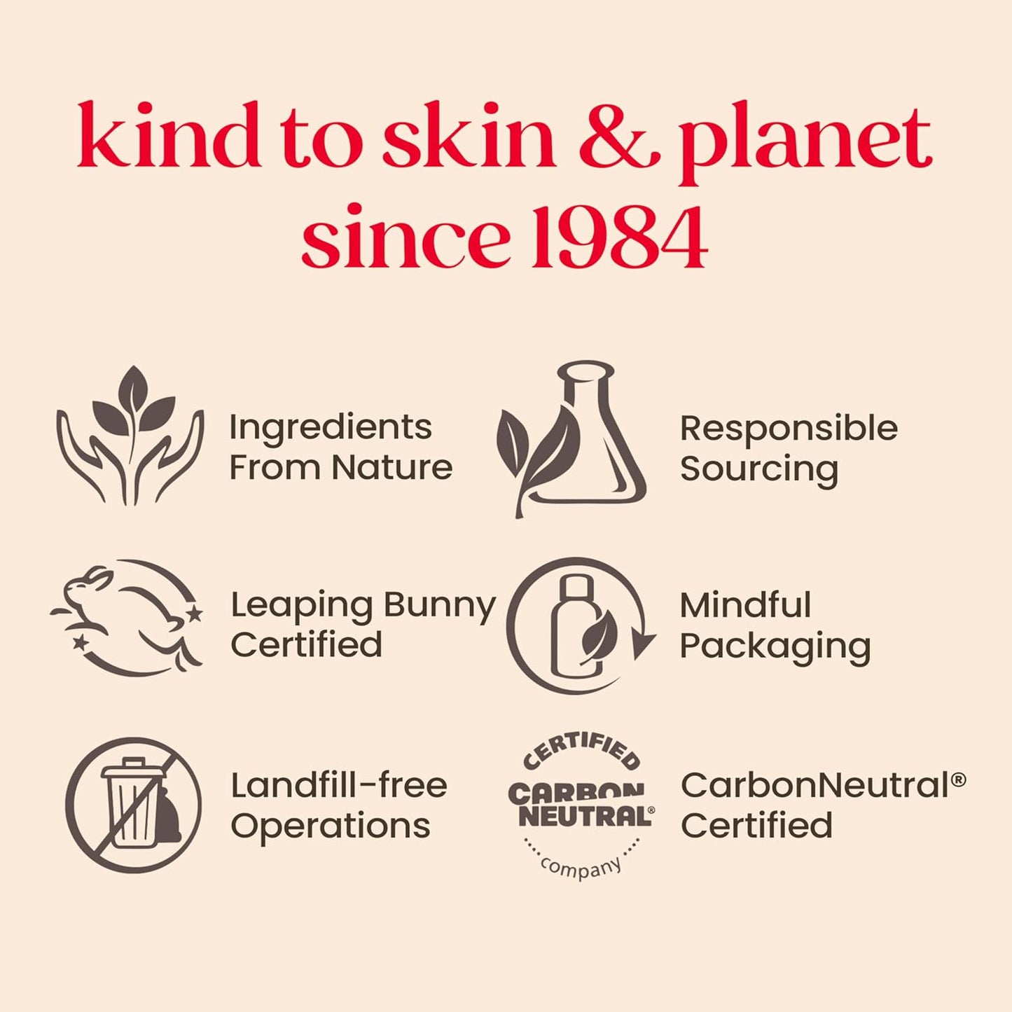 Burt’s Bees Christmas Gift Set – 5 Travel-Size Stocking Stuffers for Head-to-Toe Skincare | Lip Balm, Cleansing Cream, Hand Salve, Body Lotion & Coconut Foot Cream - Ballimart