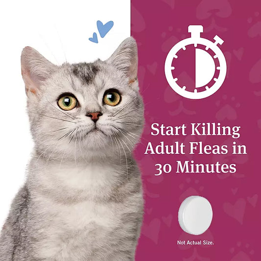 PetArmor CapAction Oral Flea Tablets for Cats