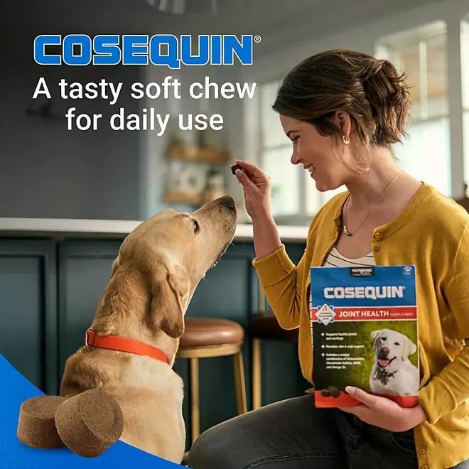 Cosequin Joint Health Soft Chews for Dogs