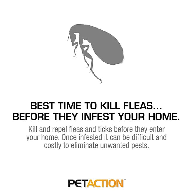 PetAction Pro Flea & Tick Treatment for Cats & Kittens