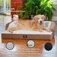 Member's Mark Bolster Pet Bed