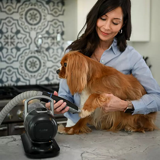 furMe Pet Grooming Vacuum Kit