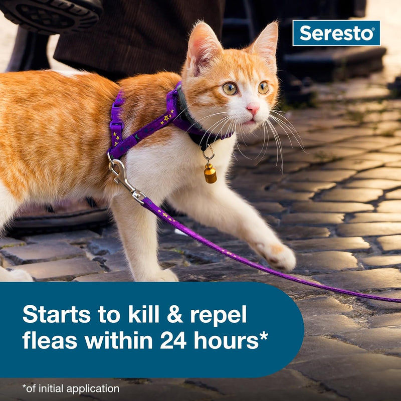 Seresto Cat Flea & Tick Collar – Veterinarian Recommended, 8 Months Continuous Protection with Slow-Release Imidacloprid & Flumethrin