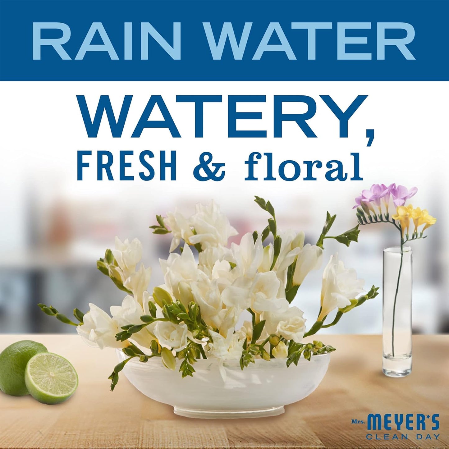 Mrs. Meyer’s Clean Day Hand Soap | Rain Water Scent | Essential Oils &amp; Biodegradable Formula | Paraben-Free | 12.5 fl. oz (Pack of 3)