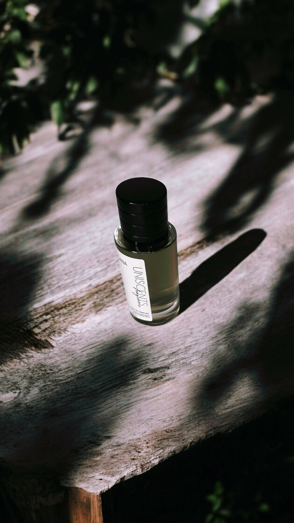 ARCANA |  Limited Release