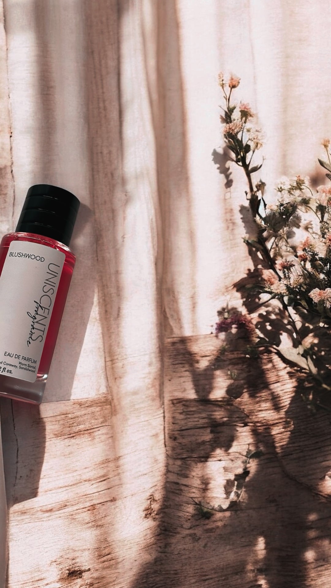 BLUSHWOOD |  Limited Release