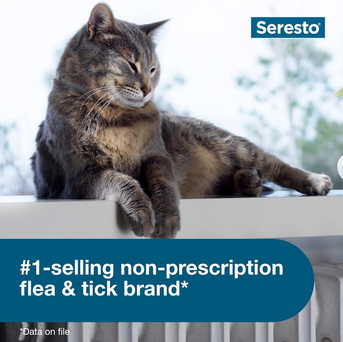 Seresto Cat Flea & Tick Collar – Veterinarian Recommended, 8 Months Continuous Protection with Slow-Release Imidacloprid & Flumethrin