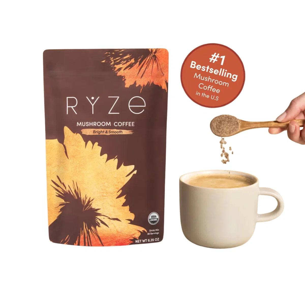 Organic Mushroom Coffee Blend | Focus Energy Gut Health