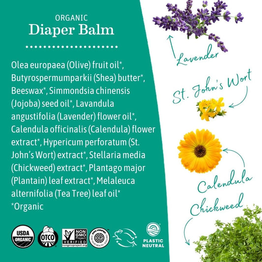 Earth Mama Organic Diaper Balm | USDA Certified | Calendula & Herbal Diaper Cream | Multi-Purpose Baby Ointment, 2 oz (2-Pack
