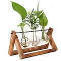 Desktop Glass Planter Bulb Plant Terrarium with Wooden Stand - Ballimart