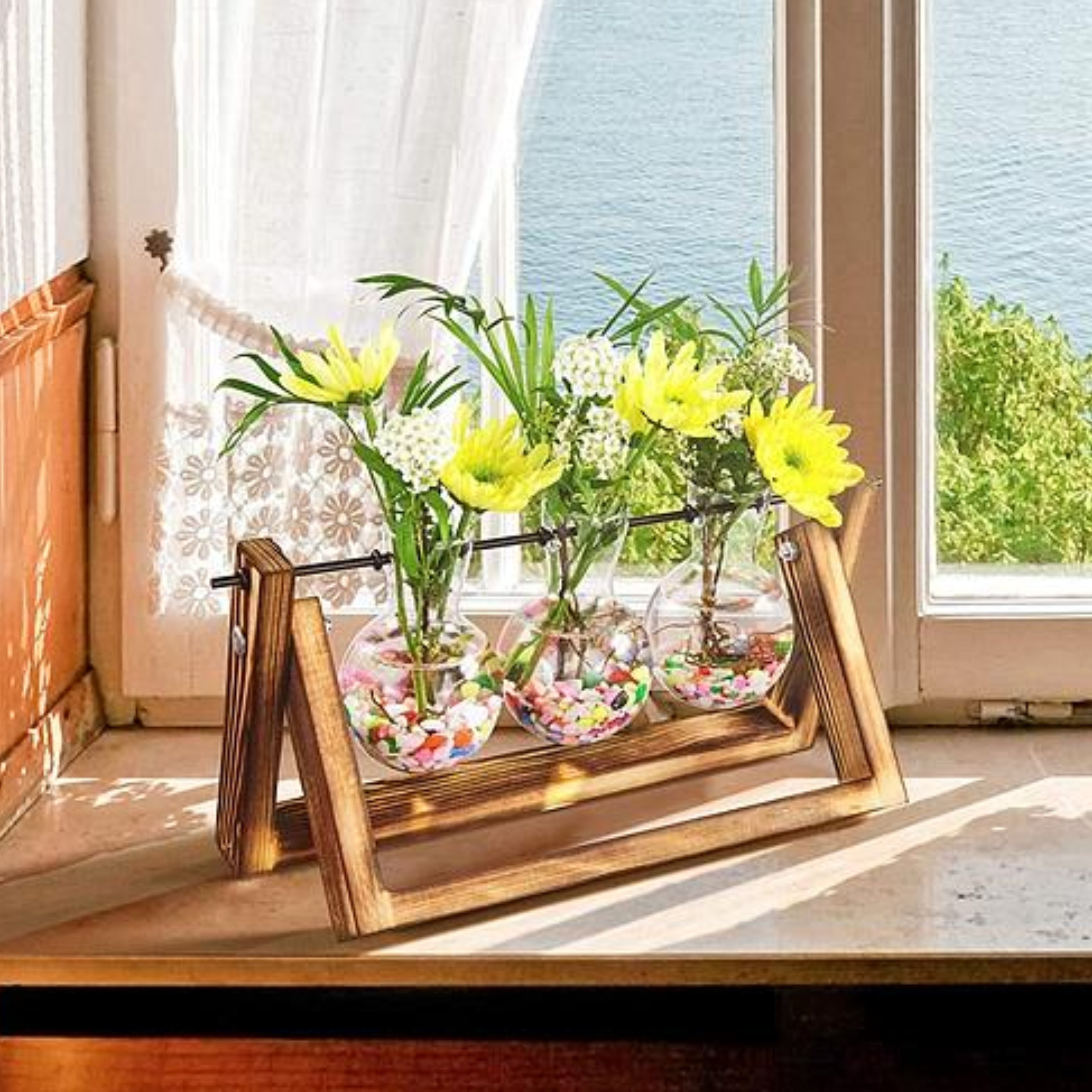 Desktop Glass Planter Bulb Plant Terrarium with Wooden Stand - Ballimart