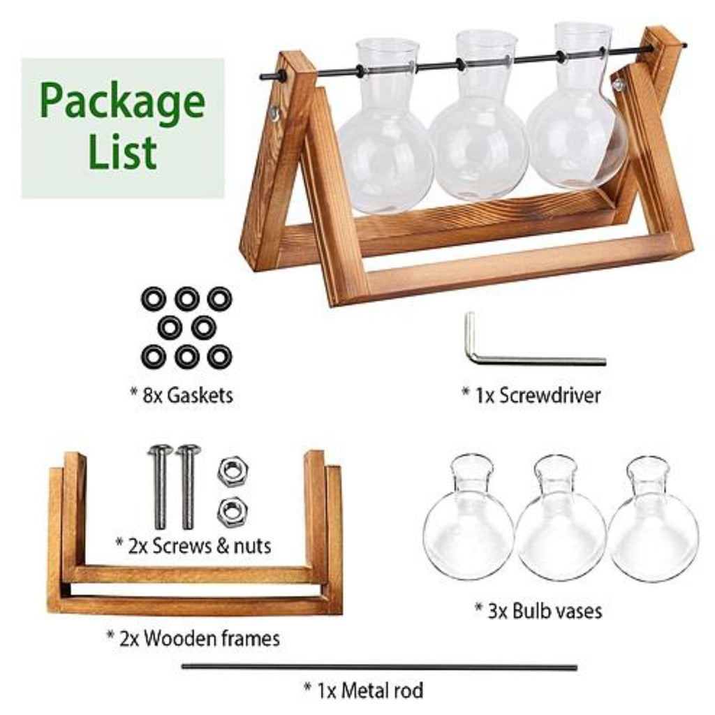 Desktop Glass Planter Bulb Plant Terrarium with Wooden Stand - Ballimart
