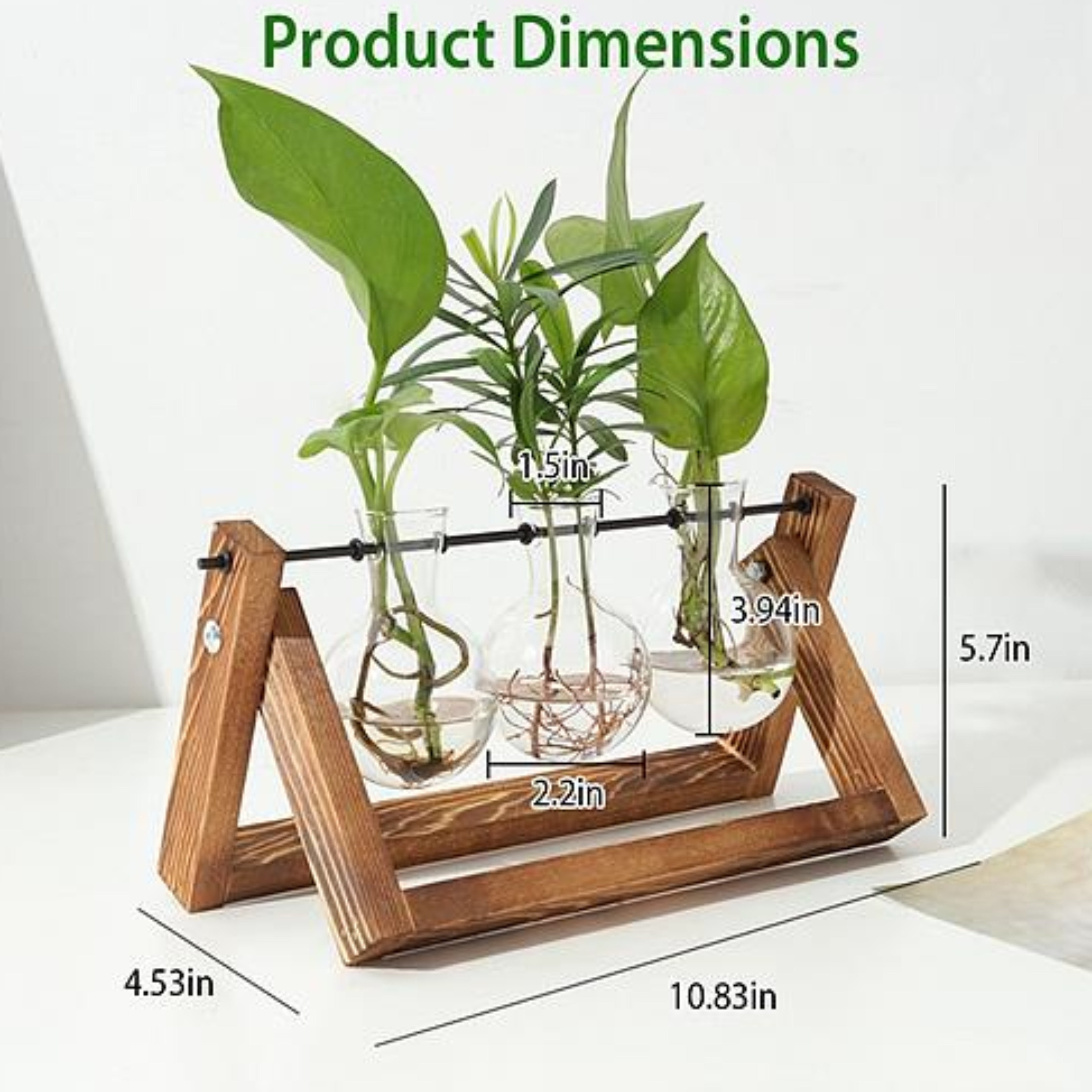 Desktop Glass Planter Bulb Plant Terrarium with Wooden Stand