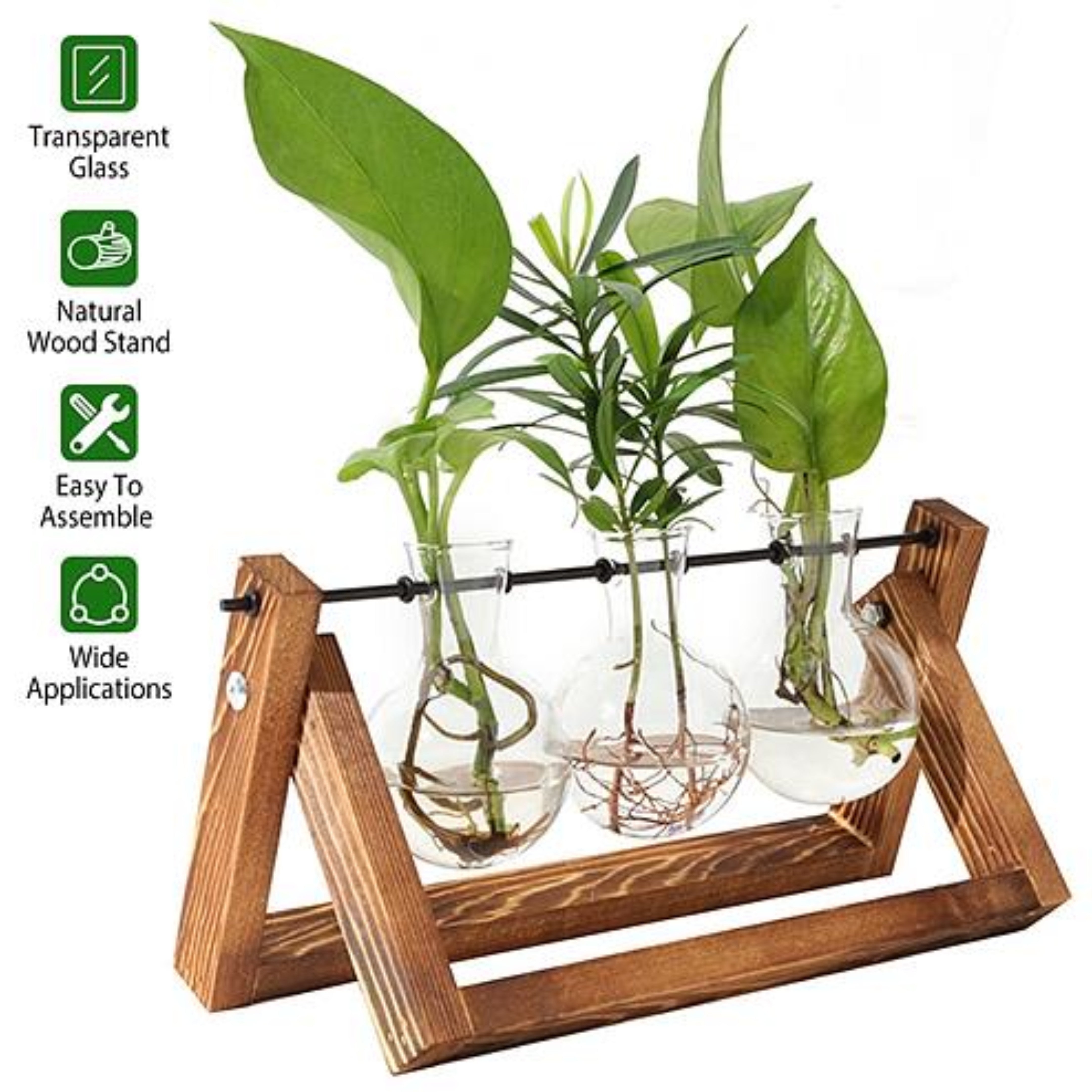 Desktop Glass Planter Bulb Plant Terrarium with Wooden Stand