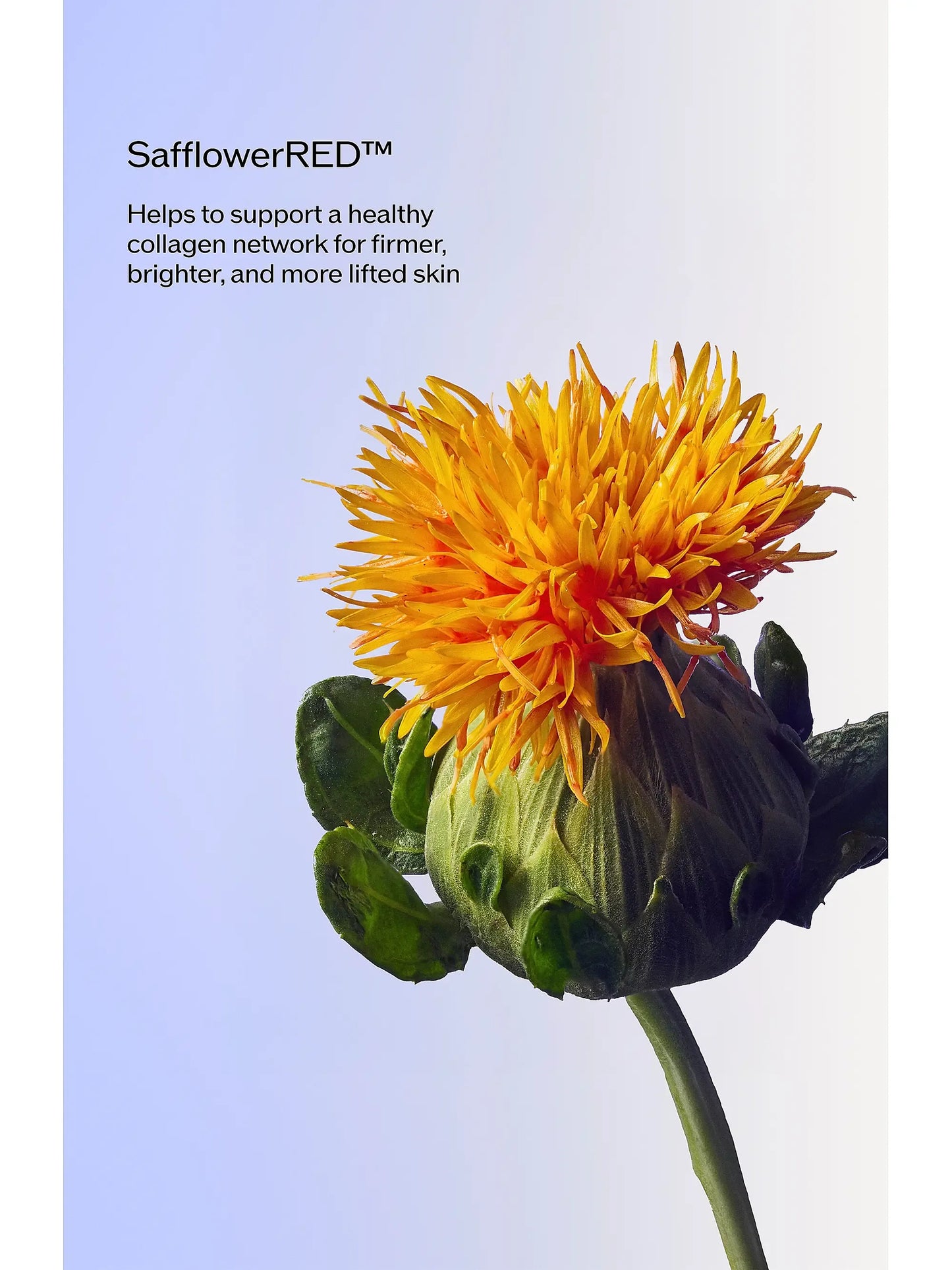 Shiseido Vital Perfection Uplifting and Firming Advanced Cream, 1.7 oz