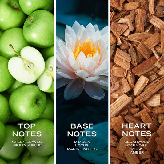 Nautica Voyage Eau de Toilette for Men – Fresh, Romantic, and Fruity Scent with Woody & Aquatic Notes – Ideal Day Wear (100 ml/3.4 fl oz) - Ballimart