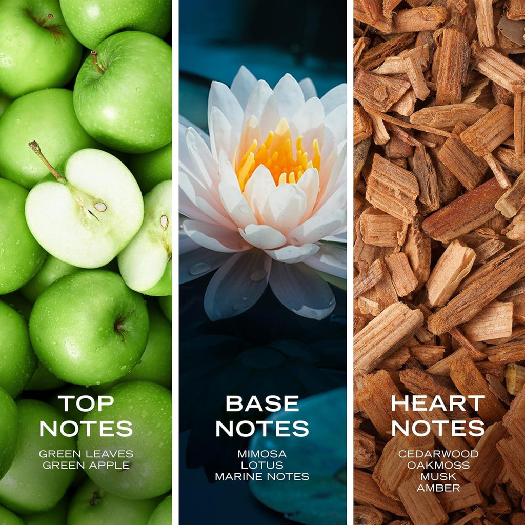 Nautica Voyage Eau de Toilette for Men – Fresh, Romantic, and Fruity Scent with Woody & Aquatic Notes – Ideal Day Wear (100 ml/3.4 fl oz) - Ballimart