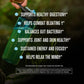 Morning Kick – Your Daily Ritual for Clean Energy, Gut Health & Whole-Body Wellness